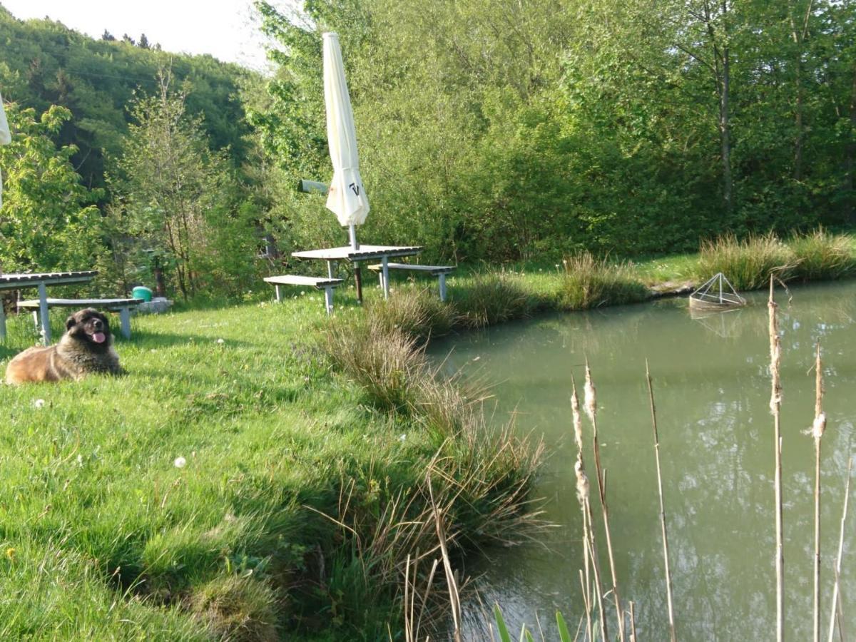 Ferienwohnung Hohe Acht Kaltenborn  Extérieur photo